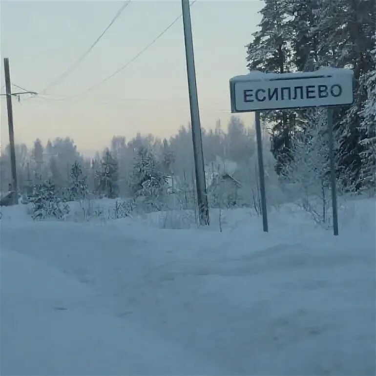 Есиплево заволжского. Есиплево заволжского