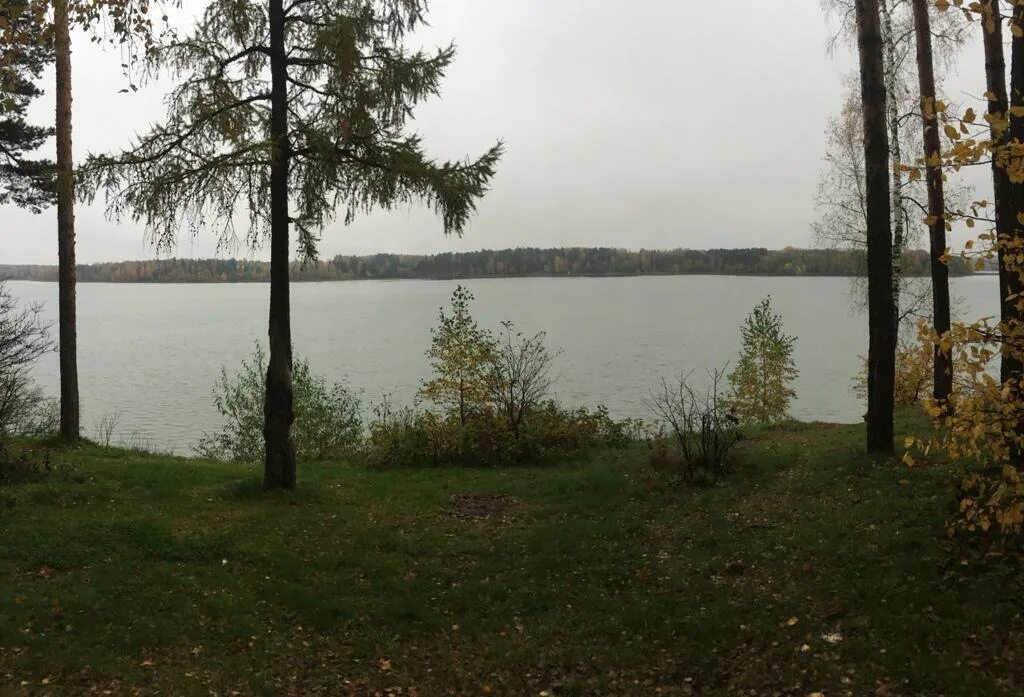 Поселок истринское водохранилище. Алехново истринское водохранилище пляж. остров истра алехново.