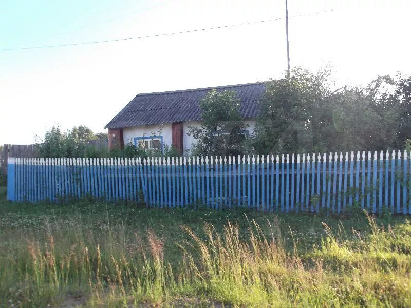 Погода в чернушке пермский край. Погода чернушке на 10 дней точный. Погода на завтра в кудымкаре. Погода в чернушке пермский край. Погода чернушке на 10 дней точный.