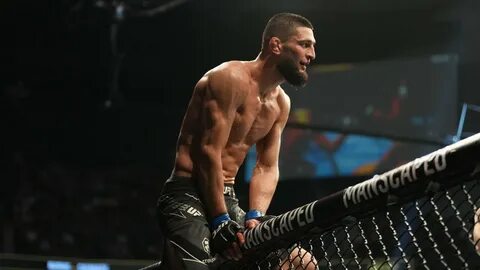 Хамзат ufc
