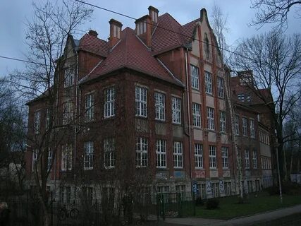 Частные школы в королеве