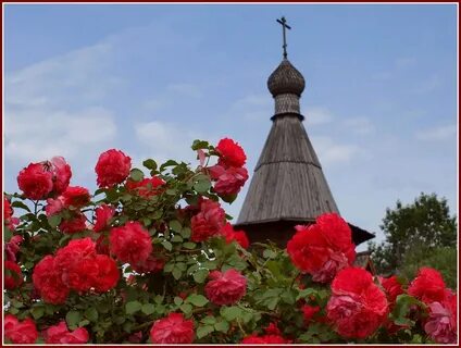 Храм роз