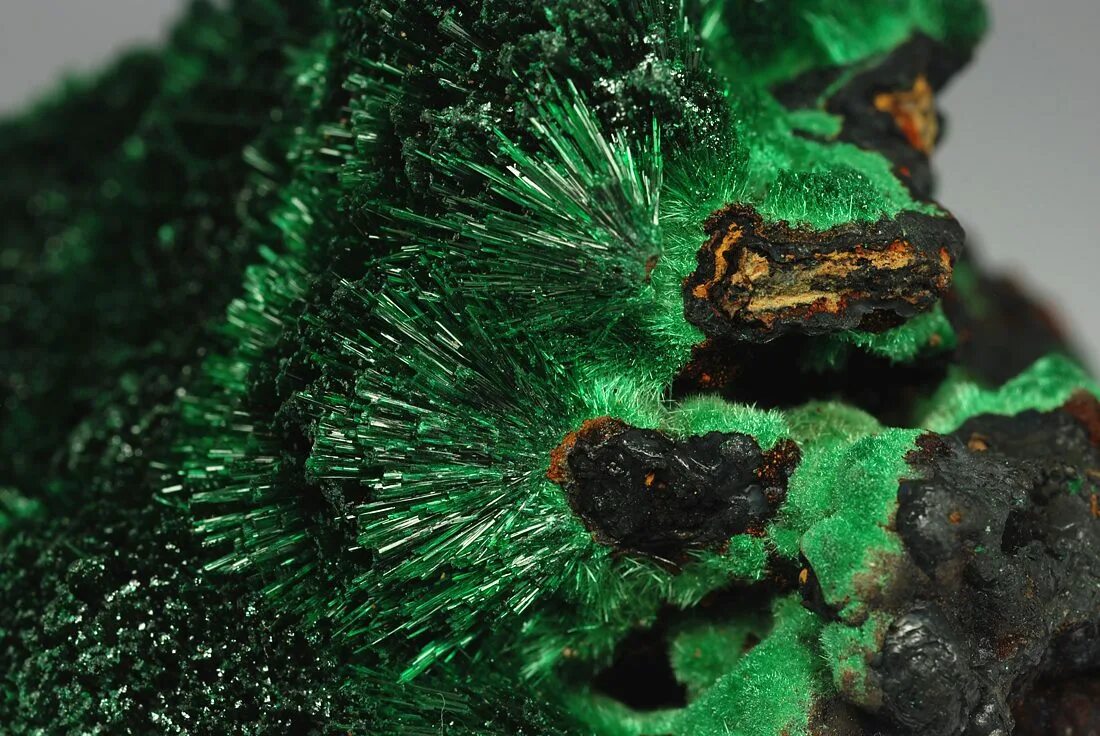 Правильный приём витаминов и минералов. Прием витаминов по часам. Какие витамины когда принимать. Минералы принимать вечером. Ккакправильно пить витамины.