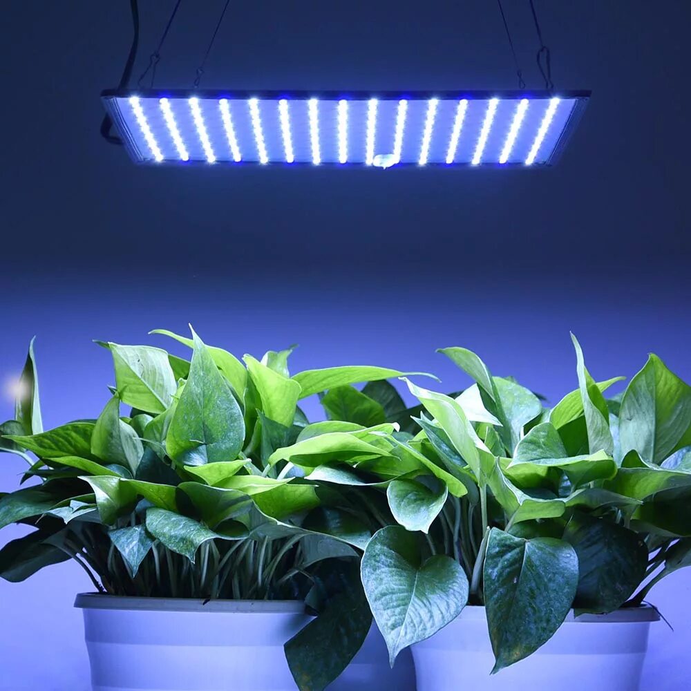 Фитолампа led grow Light. Подсветка растений в интерьере. Цветы с подсветкой. Искусственное освещение растений. Лучшая подсветка для цветов