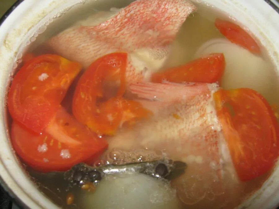 Морской окунь вареный. Морской окунь описание. Окунь вареный. Сколько варить морского окуня после закипания. Сколько времени варить морского окуня.