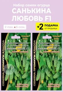 Огурцы санькина любовь описание