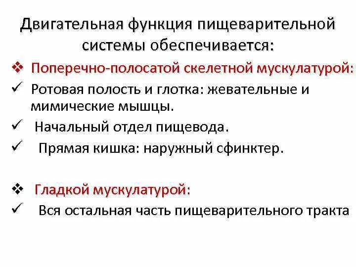 Двигательная функция кратко. Двигательная функция пищеварительной системы.