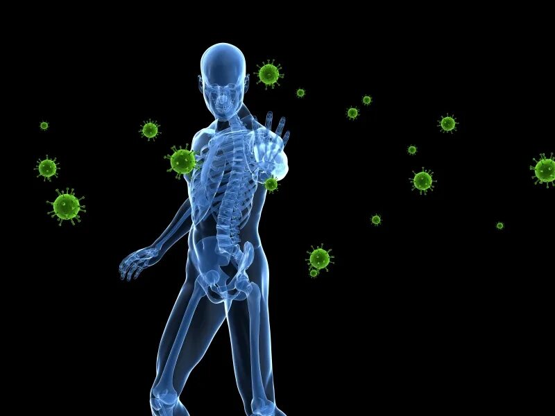 Artificial immune system. Artificial immune system
