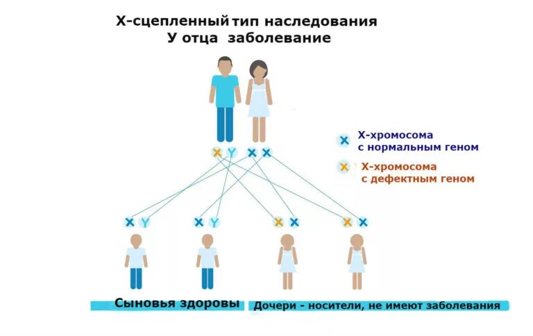 Доминантный сцепленный с х хромосомой заболевания. Тип наследования сцепленный с х-хромосомой. Болезни с х сцепленным типом наследования. Х сцепленный рецессивный Тип наследования. Сцеплено с х хромосомой наследуется заболевания.