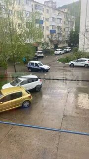 Типичная кубань телеграм