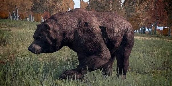 Вдали от жен dayz. Dayz livonia медведь. медведь dayz standalone. животные dayz standalone.