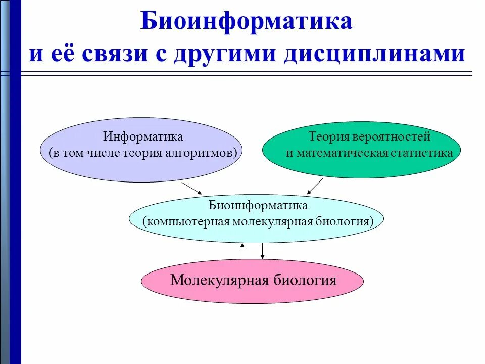 Индивидуальный проект 10 класс презентация темы. Биоинформатика. Взаимосвязь информатики с другими дисциплинами. Задачи биоинформатики. Связь биологии с информатикой.