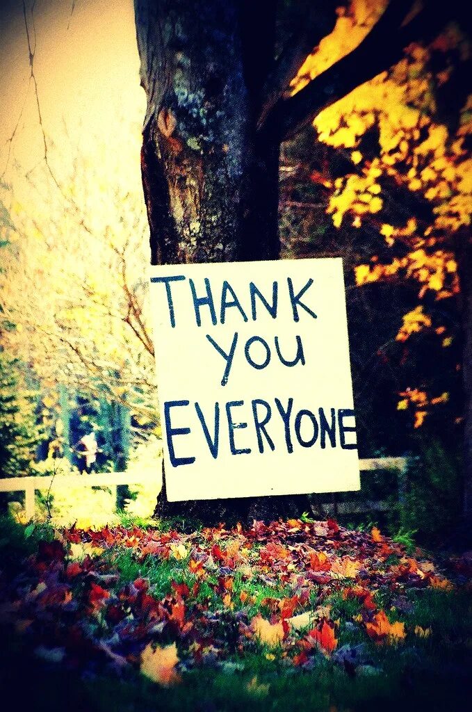 Thanks to meaning. Thank you everyone. thank you everybody. thanks everyone. thank you thank you thank you everyone.
