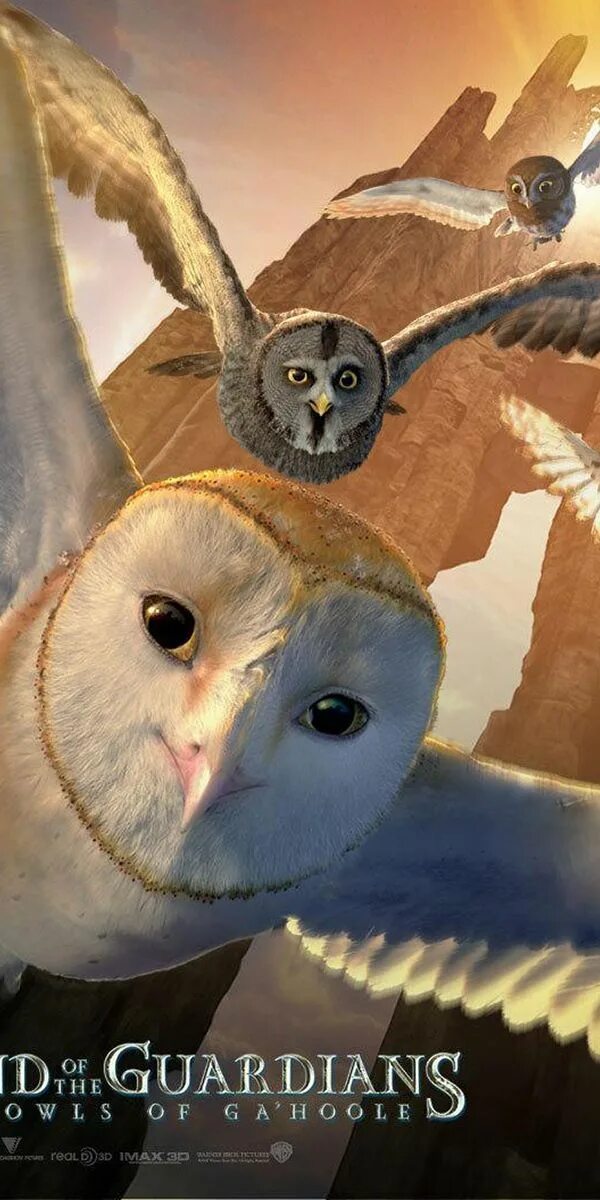 Ga hoole guardians the owls legend. Легенды ночных стражей Сорен. Легенды ночных стражей Клудд. Легенды ночных стражей Железный клюв. Ночные Стражи путешествие.