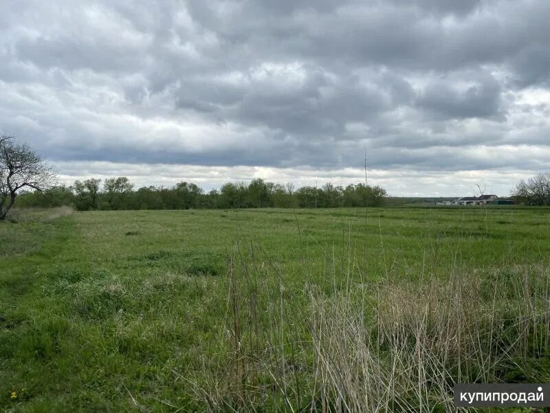 Погода в новое гаритово. Село большая казинка. Погода в новое гаритово. Погода в новое гаритово. Новое гаритово тамбовская область фото.