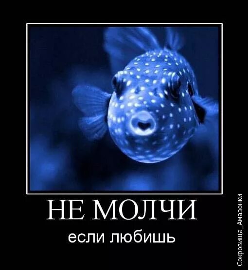 Надпись не молчи. Теперь прошу пожалуйста молчи. Не молчи любимая. Не молчи пожалуйста. Цитаты про игнор.