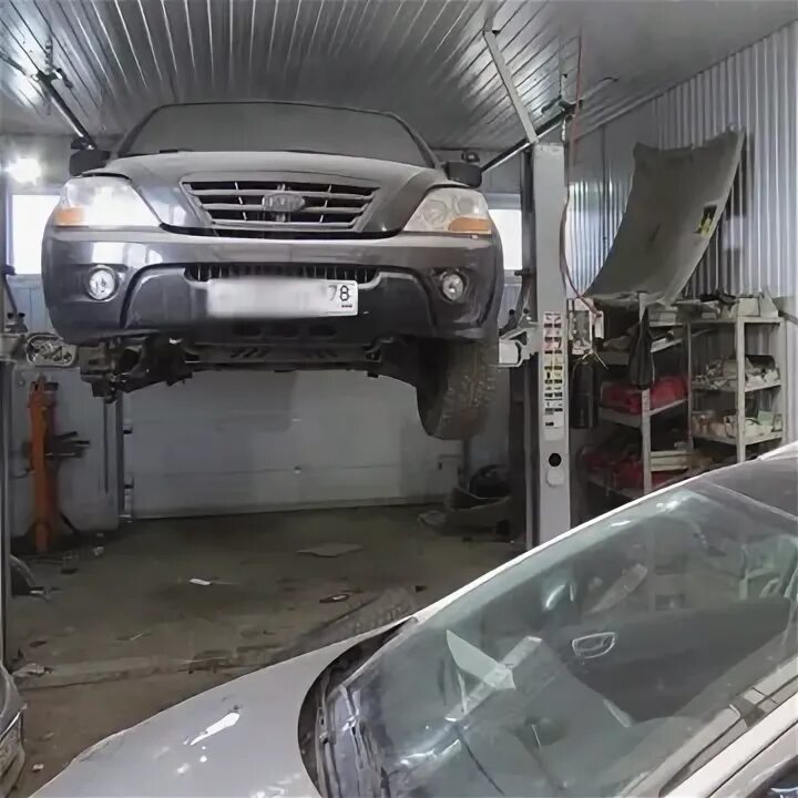 Автосалон альфа моторс. Альфа моторс краснопутиловская 46а. Альфа моторс 54 новосибирск. Альфа моторс краснопутиловская. Альфа моторс 54 новосибирск.