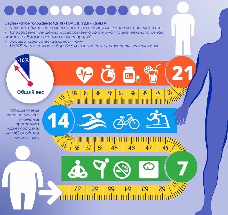 Голодание. Ступенчатое голодание. Лечебное голодание схема. Голодание организма. Программа голод