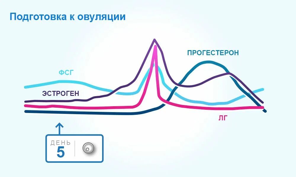 Либидо цикл. Прогестерон в овуляцию. Прогестерон после овуляции. Эстроген и прогестерон. Прогестерон перед овуляцией.