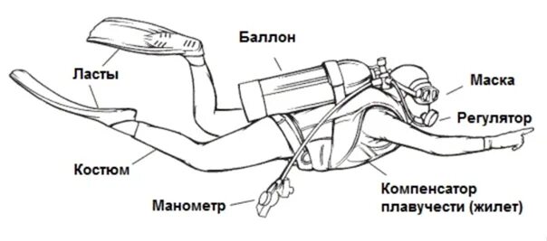 Устройство акваланга схема. Строение акваланга. Снаряжение дайвера схема. Устройство акваланга для дайвинга схема.