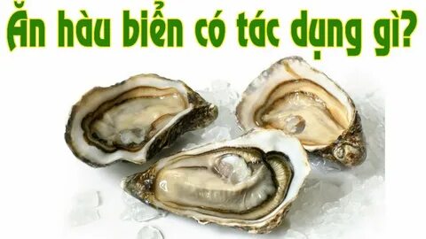 Вкус устриц
