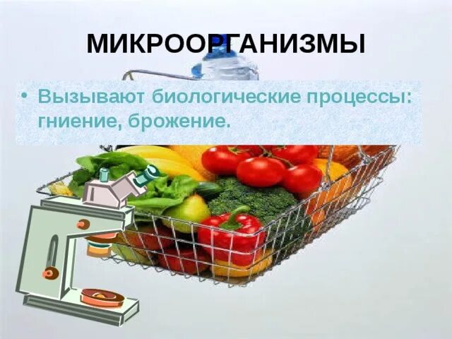 Как сохранить продукты от гниения. Гниение и брожение. Равновесие между процессами брожения и гниения рисунок. Отравление бактерии гниения брожения. Гниение пищевых продуктов ЯАЛЕНИН.