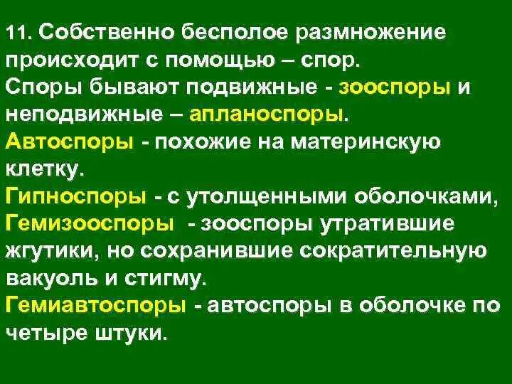 Бесполое размножение происходит с помощью спор и. Гипноспоры водорослей. ГЕМИЗООСПОРЫ это. Подвижная зооспора. Автоспоры.