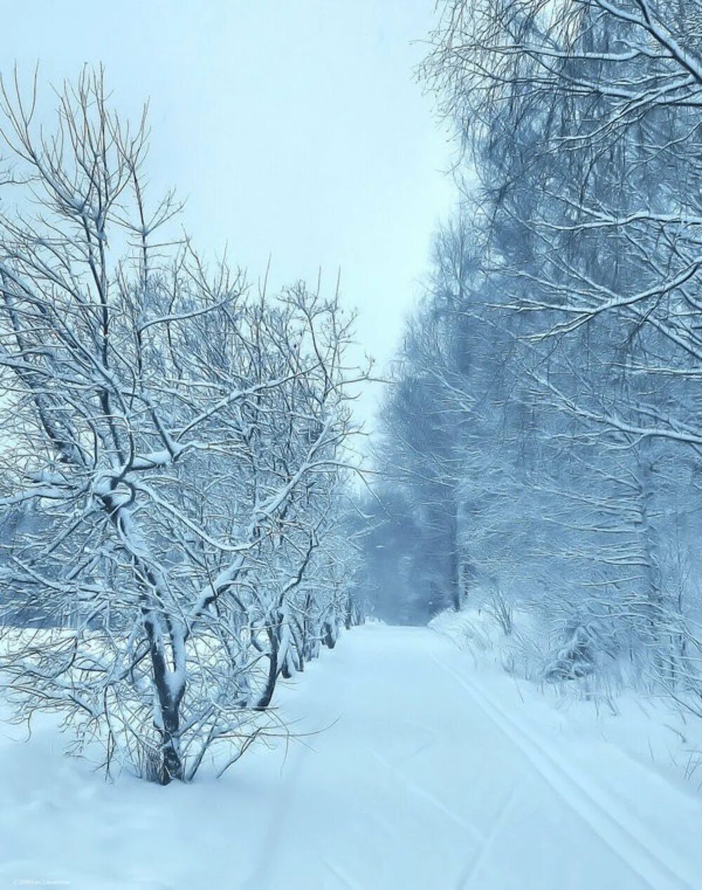 Февраль месяц метелей и вьюг рисунок. Ефимов день,народные приметы. Февраль месяц метель и вьюг презентация. Зимний месяц февраль. Февраль месяц метелей и вьюг.