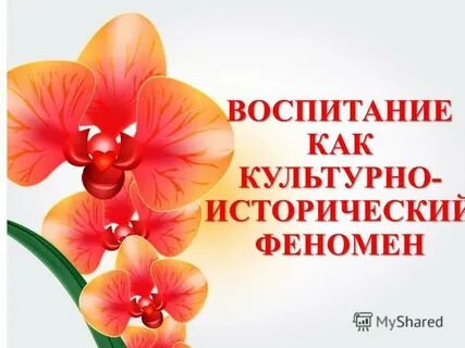 Детство как культурно исторический феномен