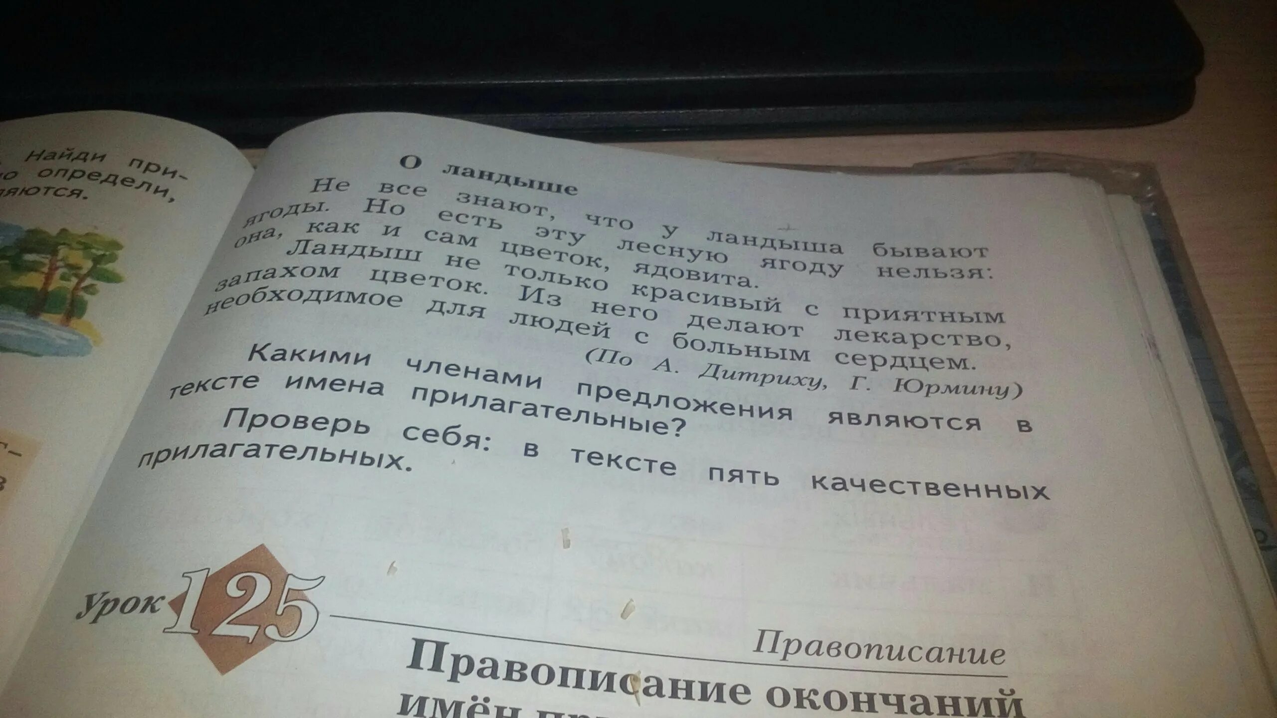 Учебник предложение с этим словом. Предложение с прилагательным. Падеж. Вопросы падежей существительных. Выписать прилагательные из текста.