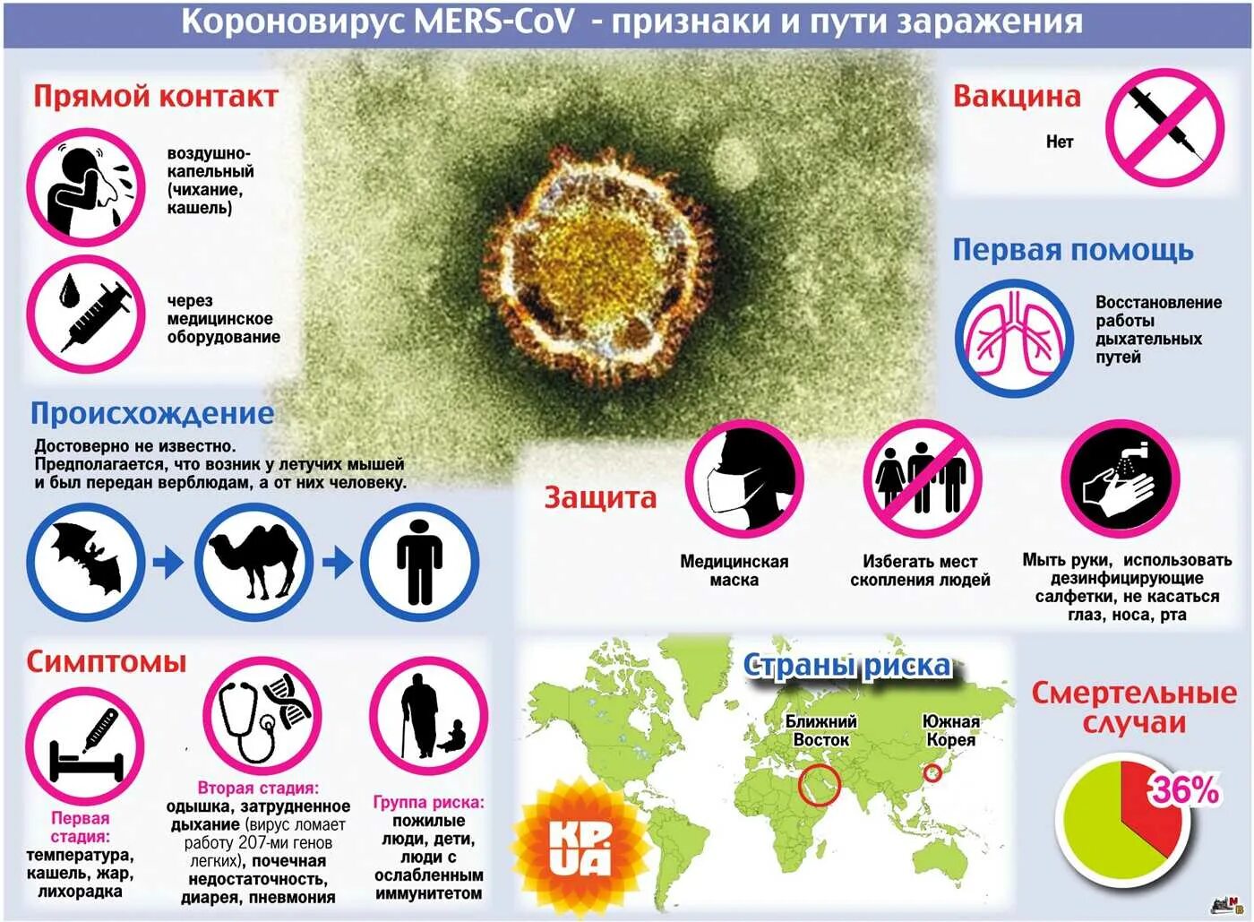 Заболевания передающиеся вирусами. Профилактика вирусов.