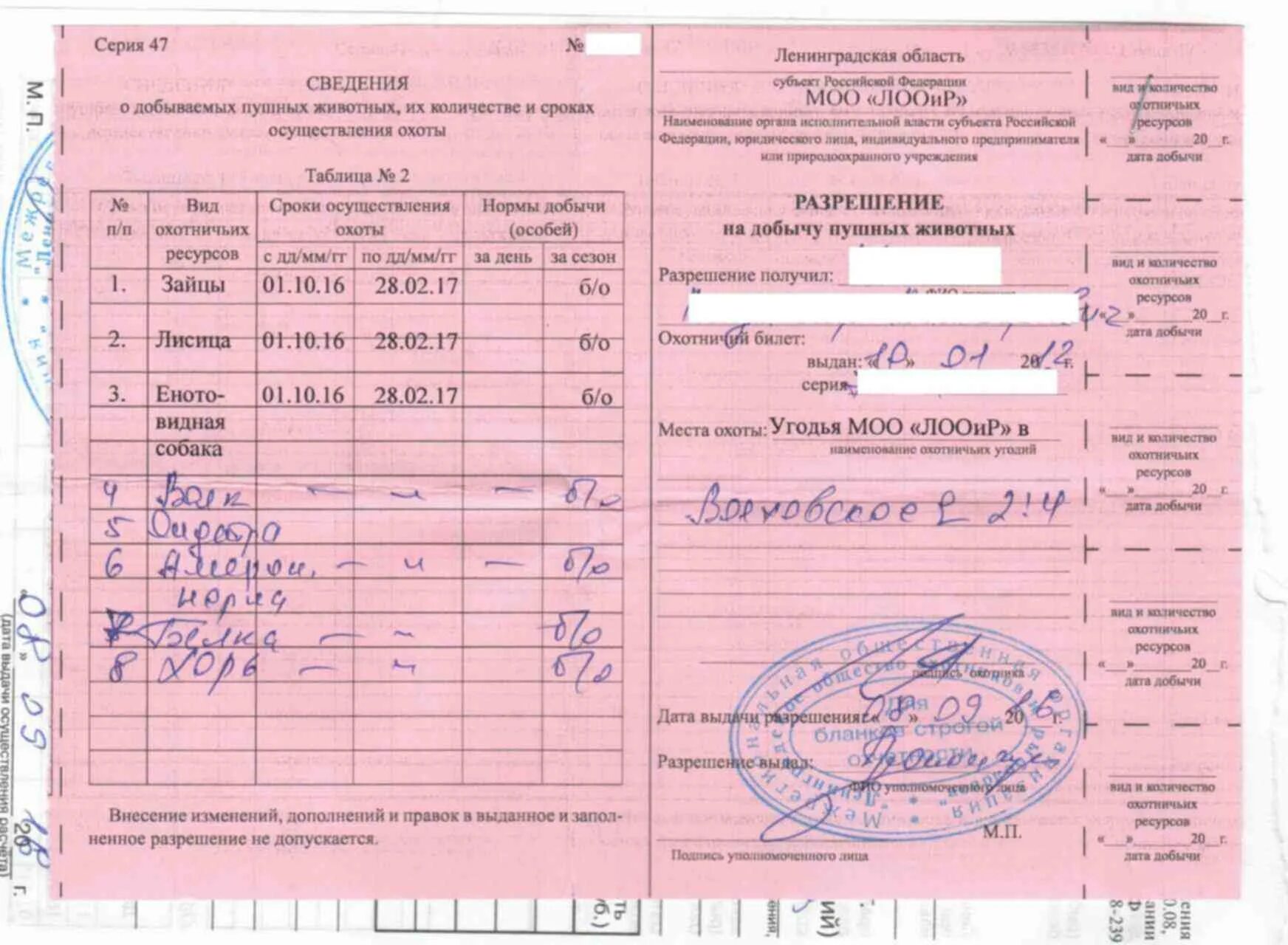 Как правильно заполнять лицензию на добычу охотничьих ресурсов. Заполнение разрешения на охоту. Разрешение на добычу зайца. Заполнение разрешения на добычу птиц. Путевки на охоту 2024 год