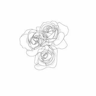 Rose line