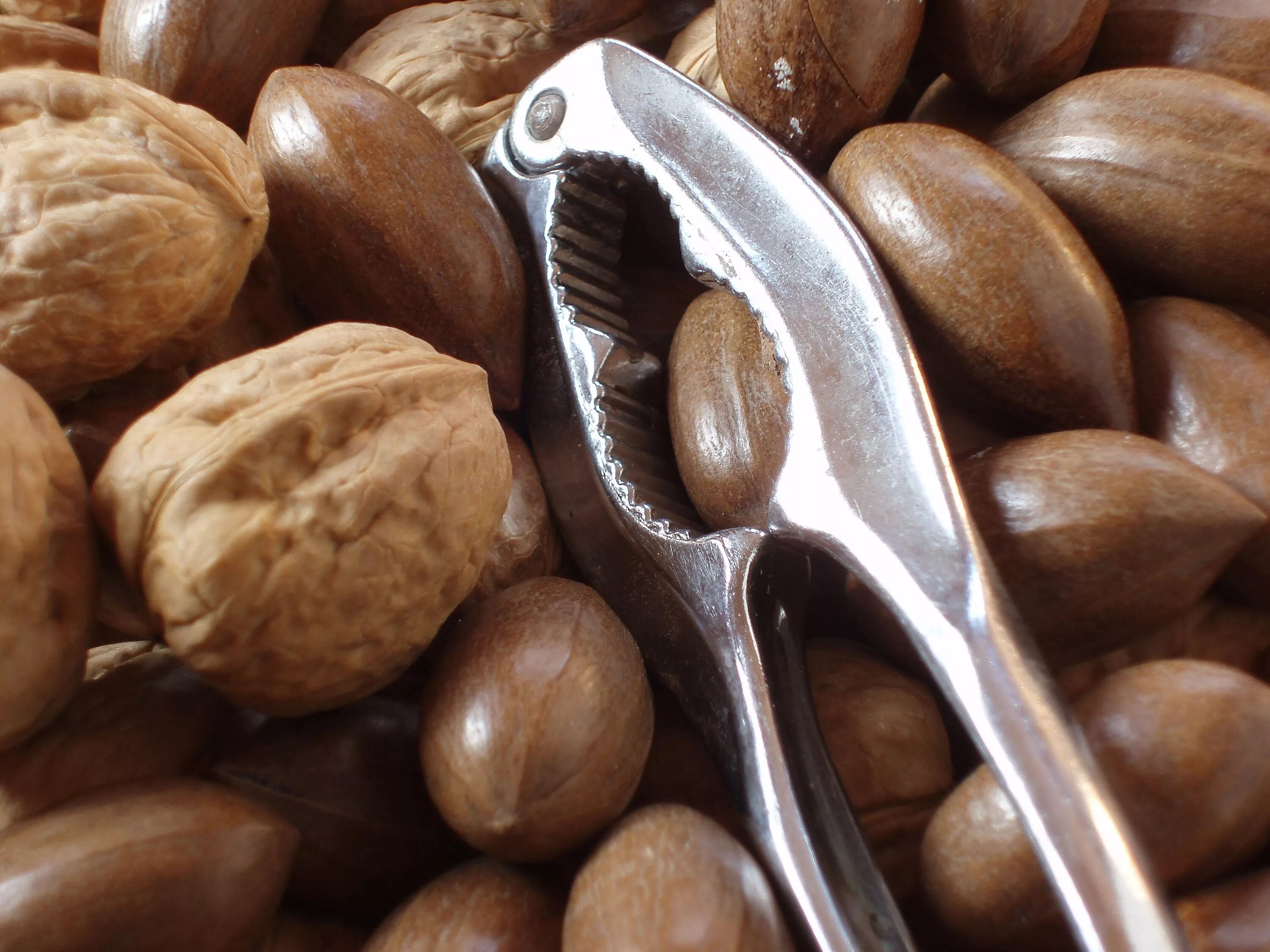 Wood nuts 23. Орех пекан. crack nuts. walnut shell powder. nut.