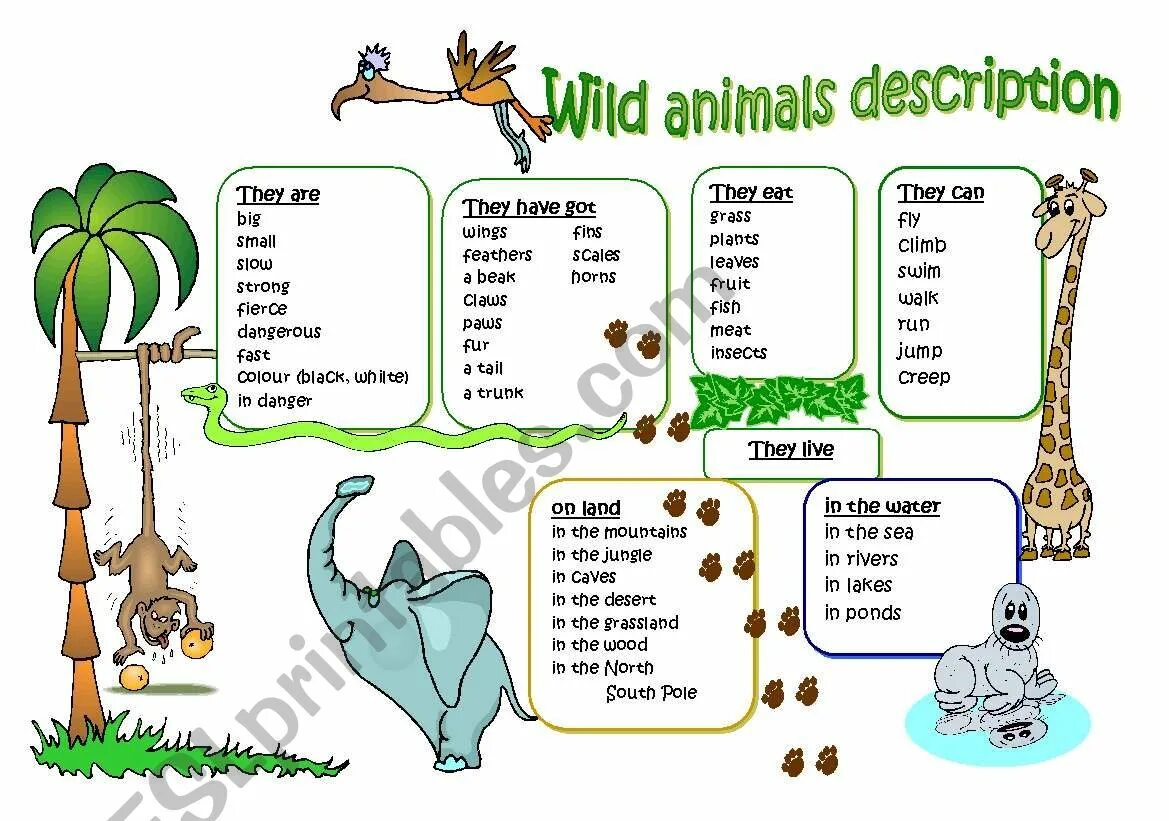 Describe animals Worksheet. Describe the animals for Kids. Worksheets about animals. Animals Worksheets for Kids 2 класс. Can you describe your