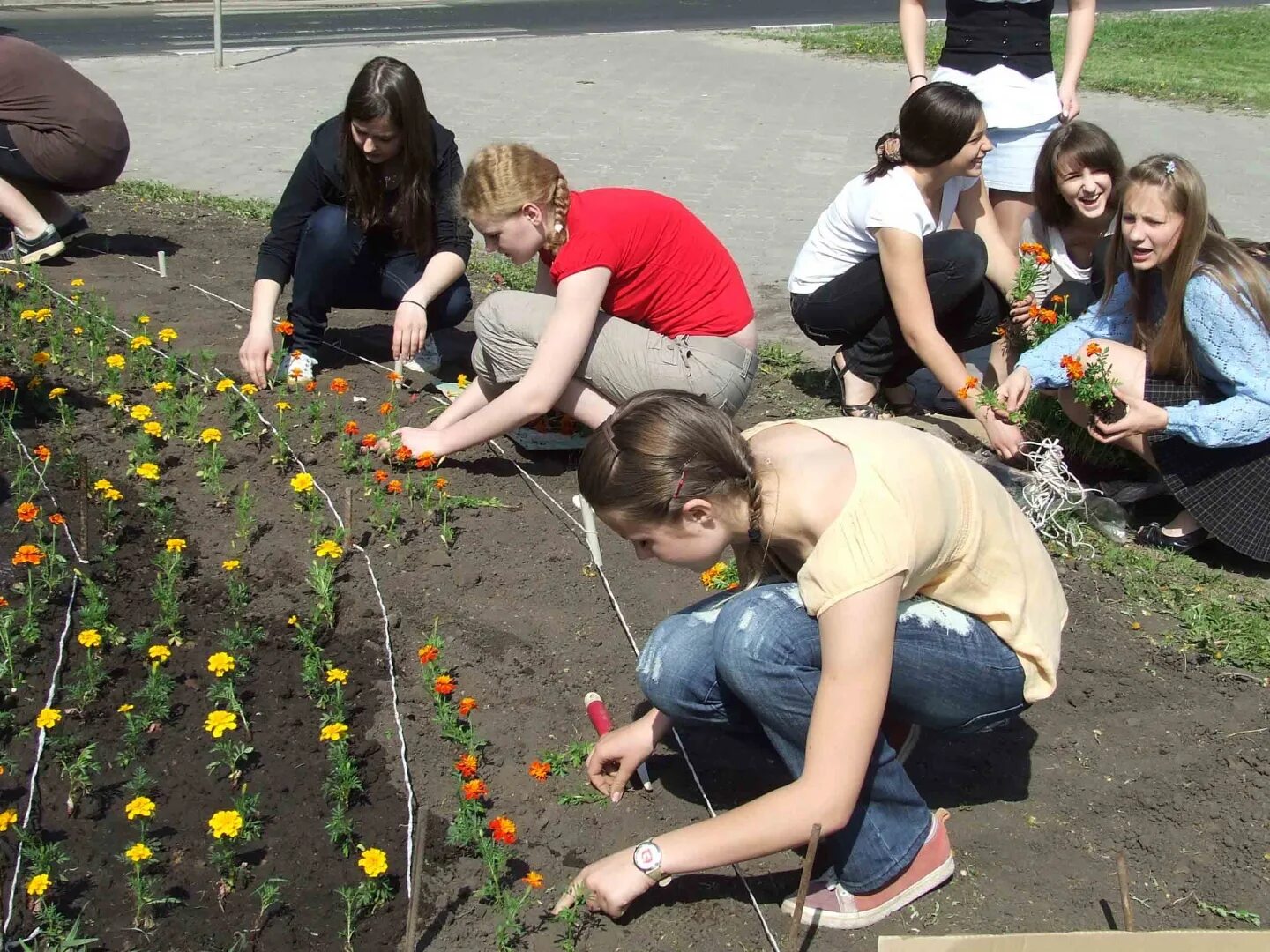 В школе посадили цветы. Дети на пришкольном участке. Труд детей в школе. В школе посадили цветы. Цветы на пришкольном участке.