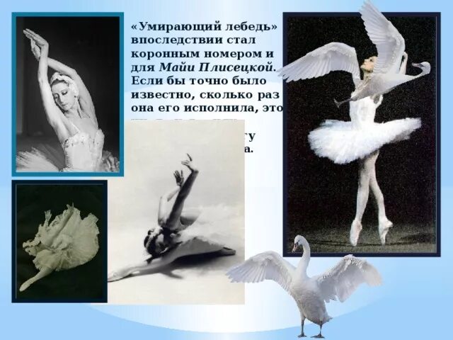Танец умирающего лебедя. Сен-санс лебедь анна павлова. сен санс лебедь балет плисецкая. майя плисецкая руки в лебеде. партия черного лебедя майя плисецкая.