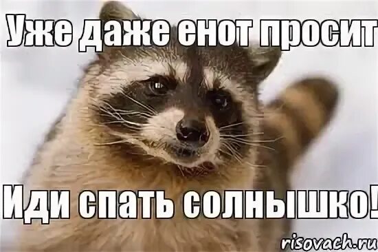 Я уже даже