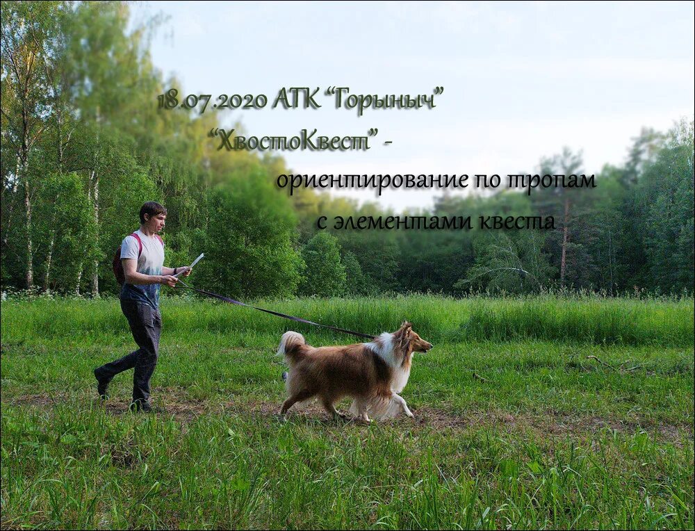 атк горыныч москва. атк горыныч махра. горыныч владимирская область. лагерь горыныч кинологический. лагерь горыныч кинологический.