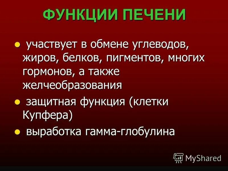 Печень участвует в обмене