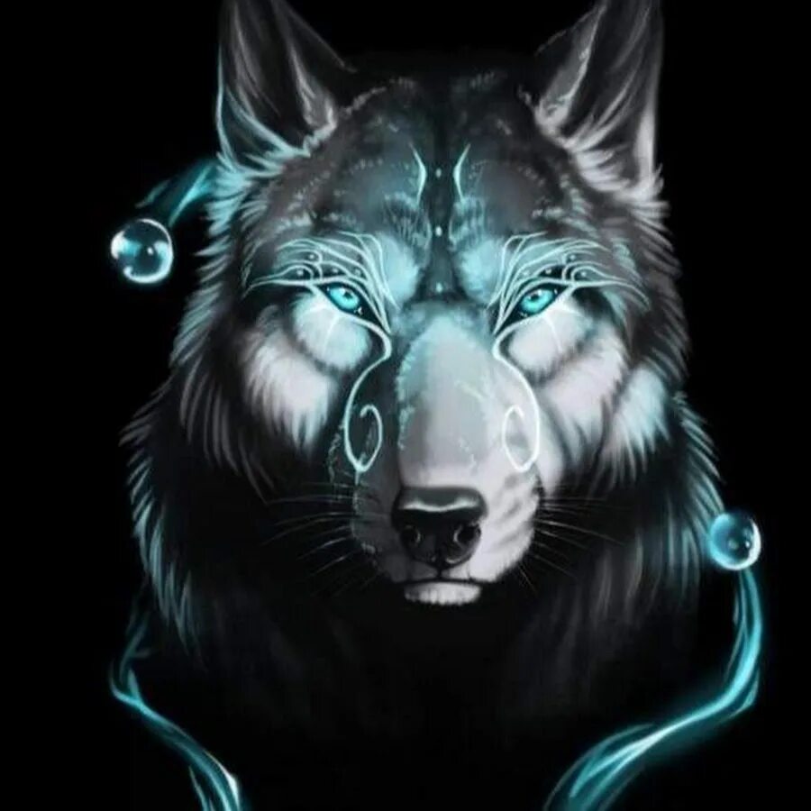 Волк на аву. Dangerous wolf. Волки крутые. Фото крутого волка. Самые крутые волки.