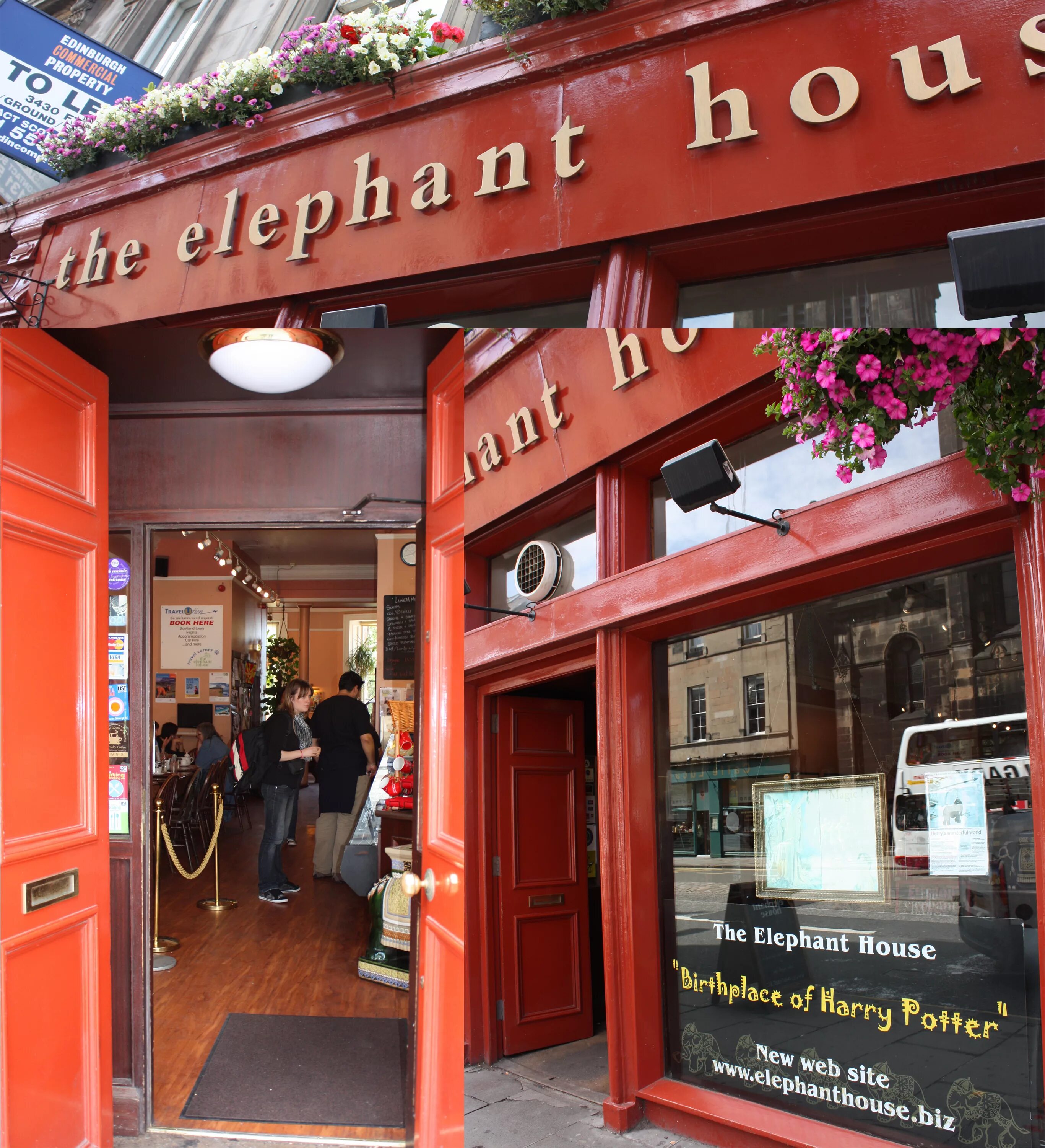 Elephant house. Elephant House Cafe Эдинбург. The Elephant House кафе в Эдинбурге.