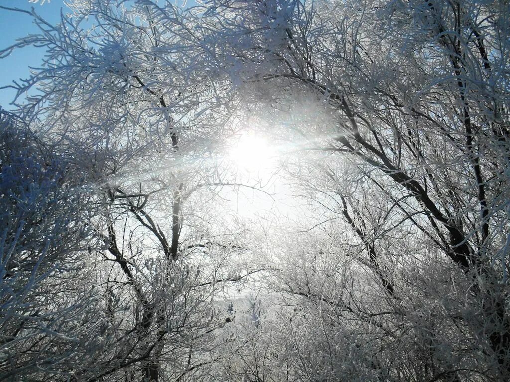 Белый минутка. Вкусная минутка. Минутка логотип. Гранит цвет блеск твердость. Минутка мастерская екатеринбург.