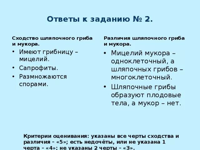 В чем сходство и различие шляпочных грибов