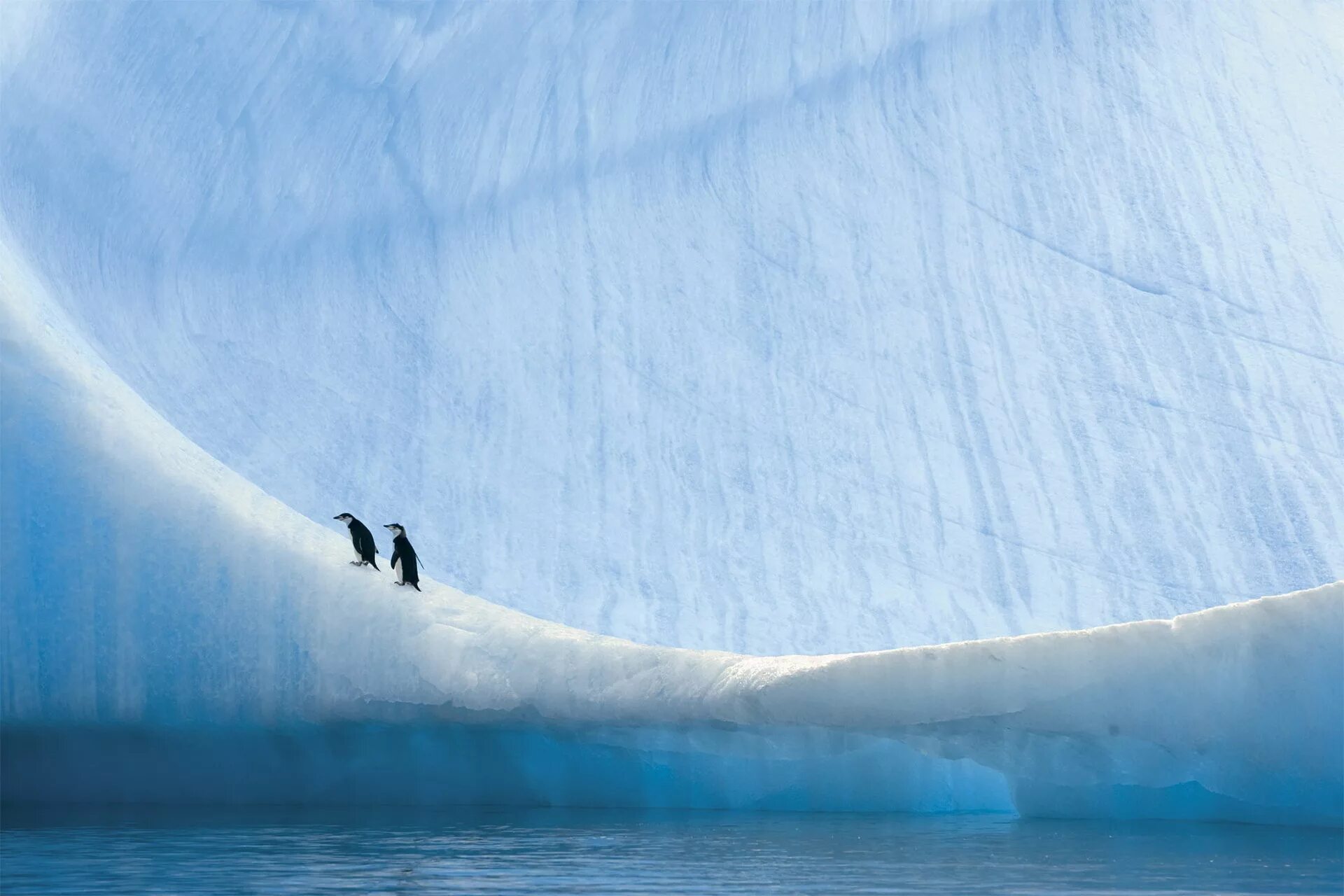 Лед снизу. Пауль Никлен Антарктика. Арктика Антарктика Антарктида. Пол Никлен Полярная одержимость. Антарктида и Северный полюс.