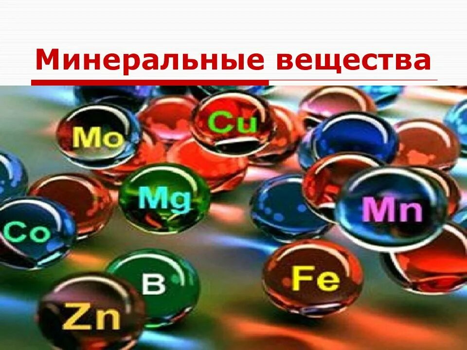 Минеральные и органические вещества. Презентация на тему минеральные вещества. Минеральные вещества используются для. Микроэлементы это кратко. Минеральные вещества используются для.