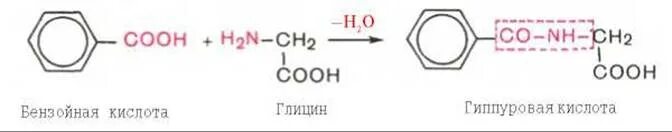 Бензойная кислота h. Обезвреживание бензойной кислоты в печени. Бензойная кислота и глицин. Реакция обезвреживания бензойной кислоты. Бензойная кислота обезвреживание в организме.