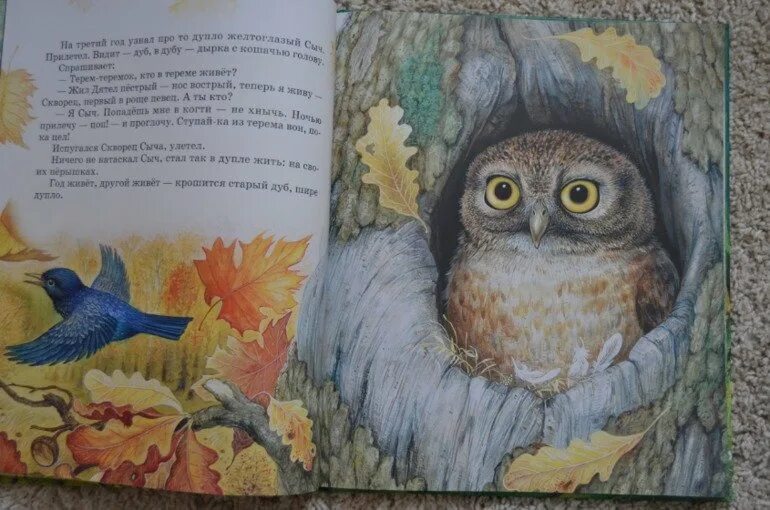 Сказка бианки сова текст. Рассказ виталия бианки сова. Произведение виталия бианки сова. Рассказ сова бианки. Краткое содержание сказки сова.