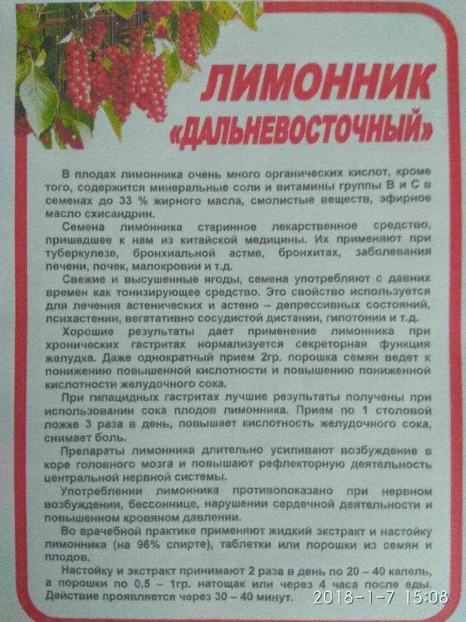 Настойка лимонника китайского применение