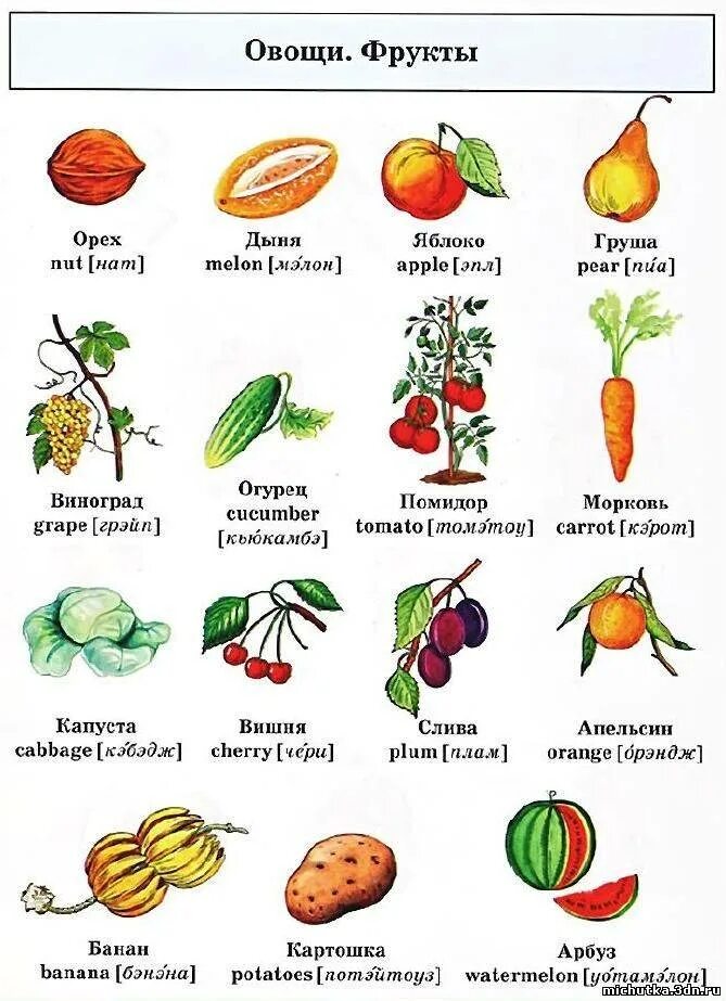 Фрукты перевод на русский